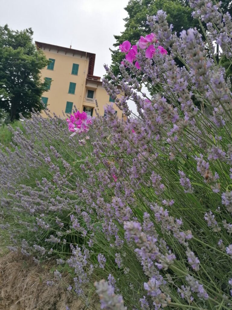 Terre di Nava