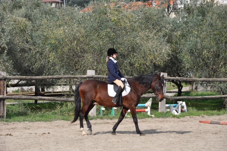 Quiliano Riding Club da ENGEA